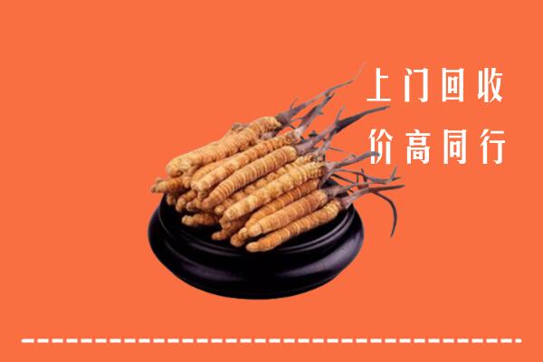 高价求购：铁山港区回收散虫草