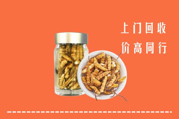 铁山港区高价回收冬虫夏草