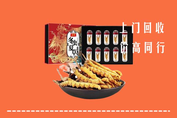 铁山港区高价回收虫草